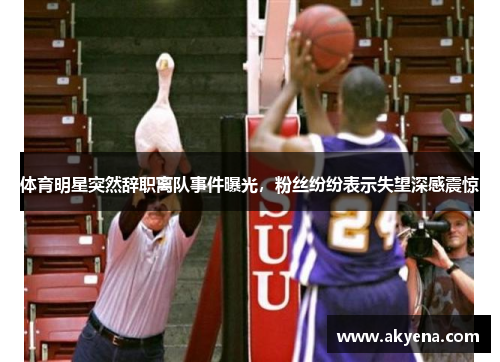 体育明星突然辞职离队事件曝光，粉丝纷纷表示失望深感震惊